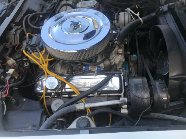 1979 White Chevrolet Corvette Fastback