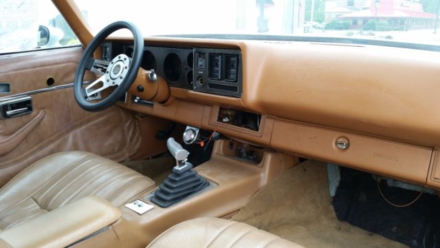 1979 Chevrolet Camaro