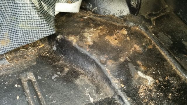 1979 Chevrolet Camaro