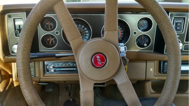 1979 Brown Chevrolet Camaro Coupe