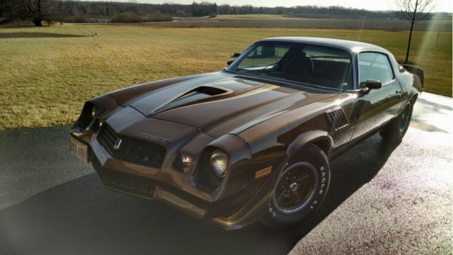 1979 Brown Chevrolet Camaro Coupe
