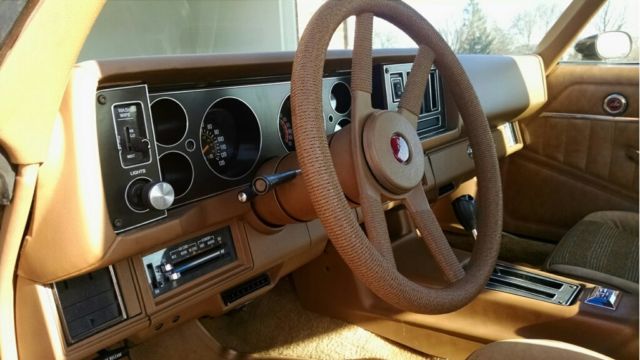 1979 Brown Chevrolet Camaro Coupe