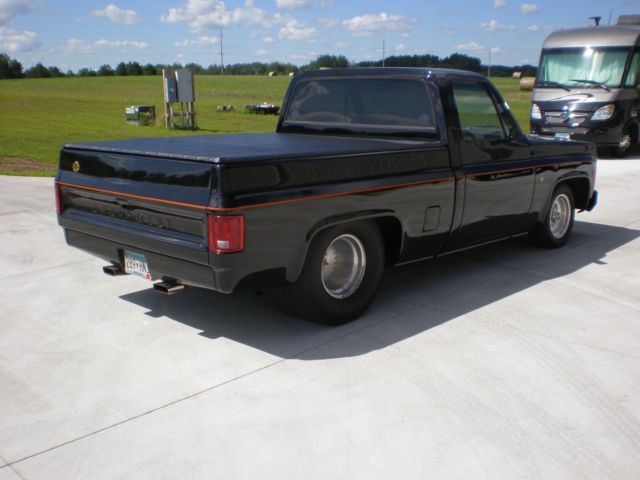 1979 Chevrolet C-10