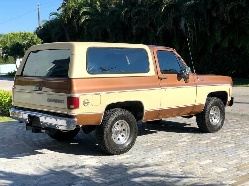 1979 Brown Chevrolet Blazer --