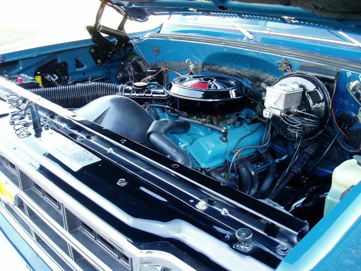 1979 Blue Chevrolet C-10 Regular  Cab Pickup