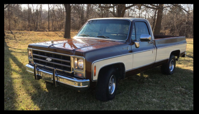 1979 Brown Chevrolet C-10 Standard Cab Pickup