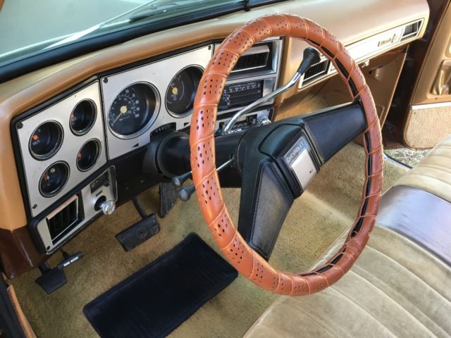 1979 Brown Chevrolet C-10 Standard Cab Pickup