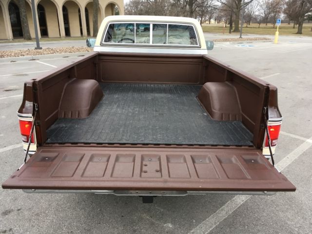1979 Brown Chevrolet C-10 Standard Cab Pickup