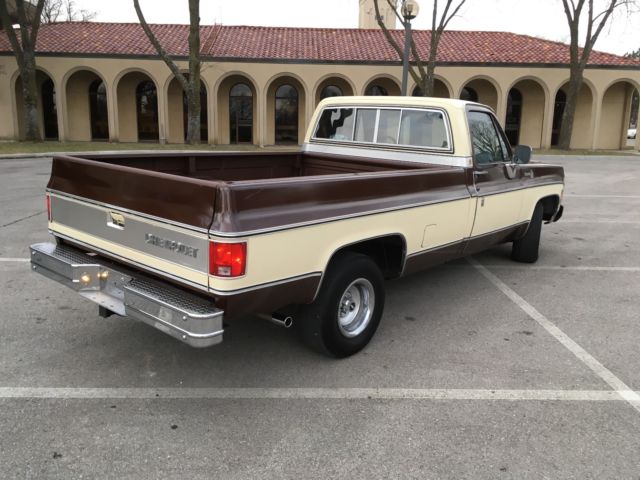 1979 Brown Chevrolet C-10 Standard Cab Pickup