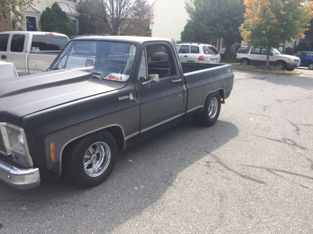 1979 Blue Chevrolet C-10