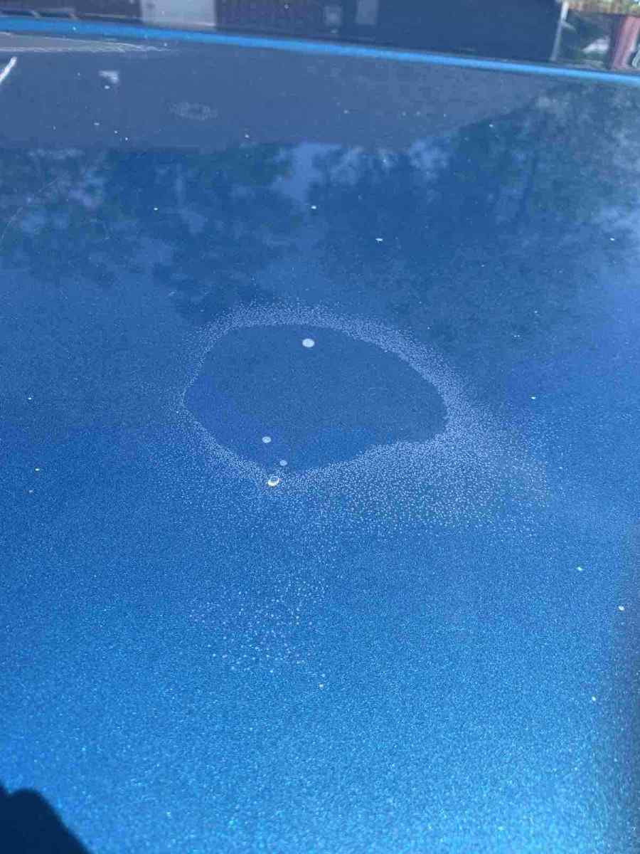 1979 Blue Chevrolet C10/K10 Pickup