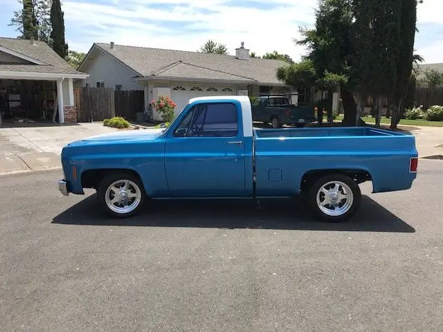 1979 Chevrolet C10 Short Bed for sale: photos, technical specifications ...