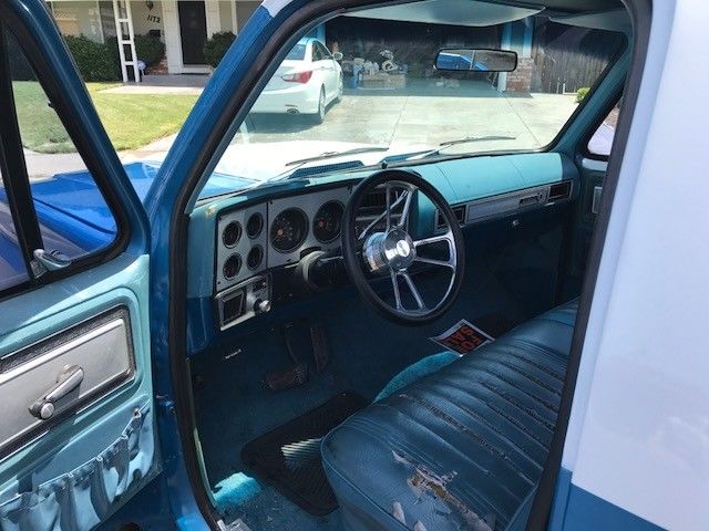 1979 Blue Chevrolet C-10 Standard Cab Pickup