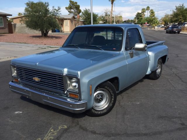 1979 Silver Chevrolet C-10 Cab & Chassis