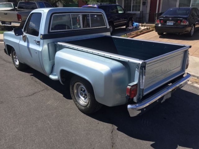 1979 Silver Chevrolet C-10 Cab & Chassis
