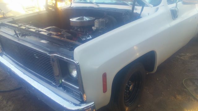1979 White Chevrolet C-10 Standard Cab Pickup