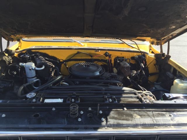 1979 Yellow Chevrolet C-10 Standard Cab Pickup