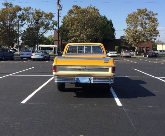 1979 Yellow Chevrolet C-10 Standard Cab Pickup