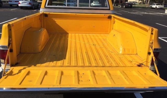 1979 Yellow Chevrolet C-10 Standard Cab Pickup