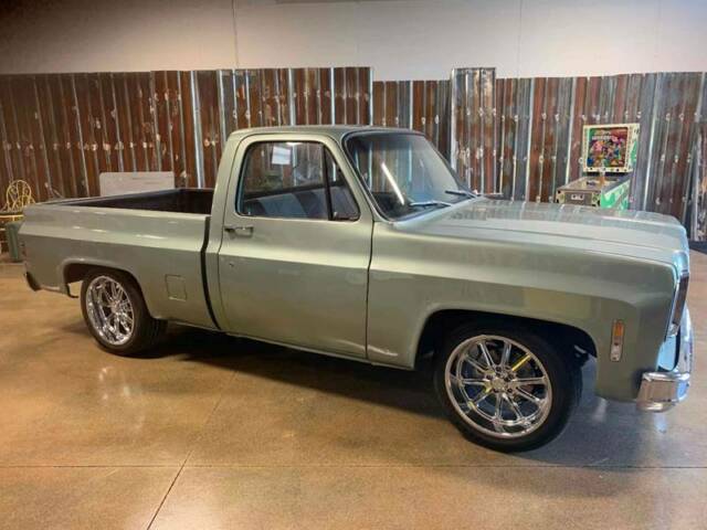 1979 Green Chevrolet Other Pickups Pickup Truck