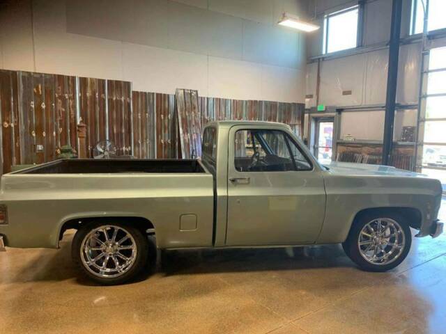 1979 Green Chevrolet Other Pickups Pickup Truck