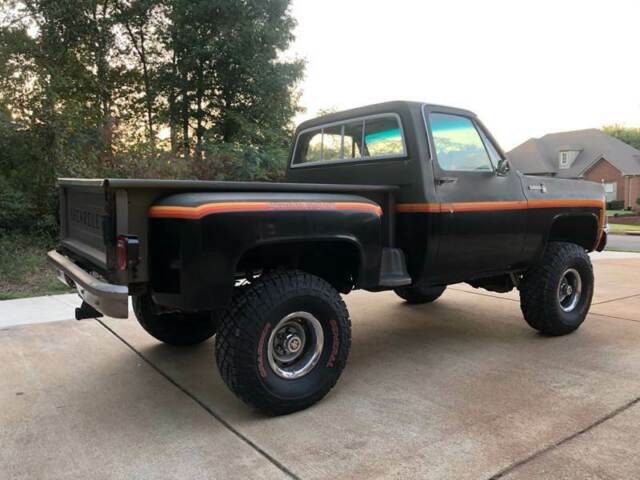 1979 Black Chevrolet C/K Pickup 1500 Pickup Truck