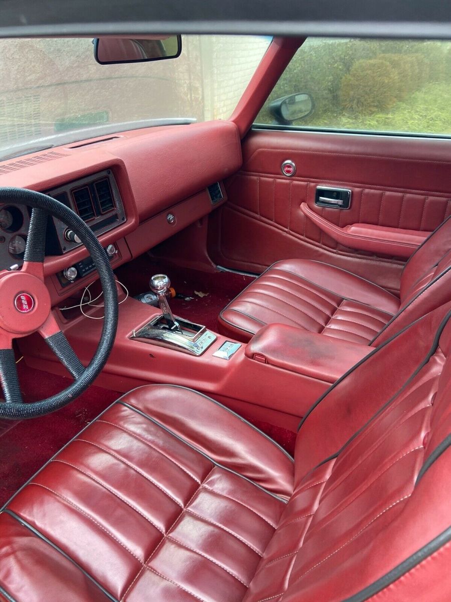 1979 GREY Chevrolet Camaro Coupe