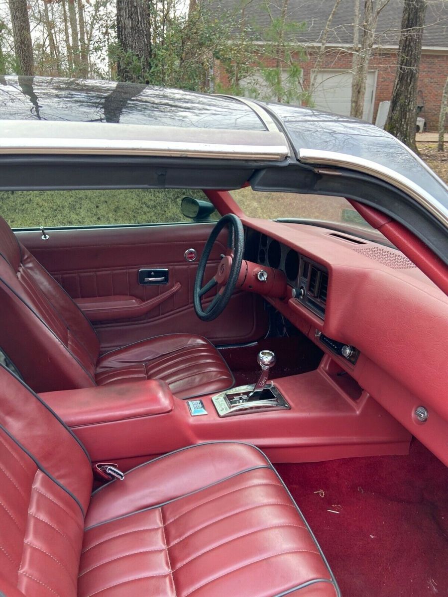 1979 GREY Chevrolet Camaro Coupe