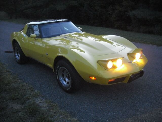 1979 Yellow Chevrolet Corvette Coupe