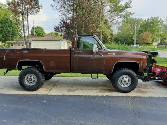 1979 Brown Chevrolet Other Pickups Standard Cab Pickup