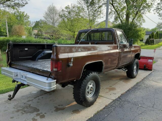 1979 Brown Chevrolet Other Pickups Standard Cab Pickup