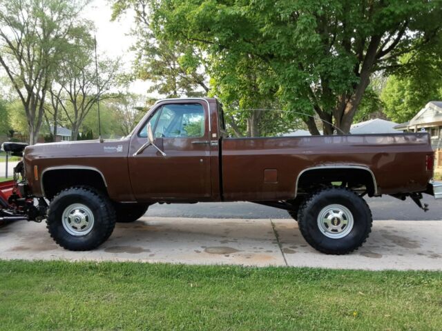 1979 Brown Chevrolet Other Pickups Standard Cab Pickup