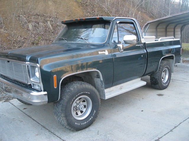 1979 Green Chevrolet C/K Pickup 1500 Standard Cab Pickup