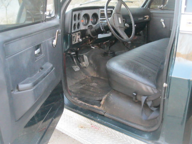 1979 Green Chevrolet C/K Pickup 1500 Standard Cab Pickup