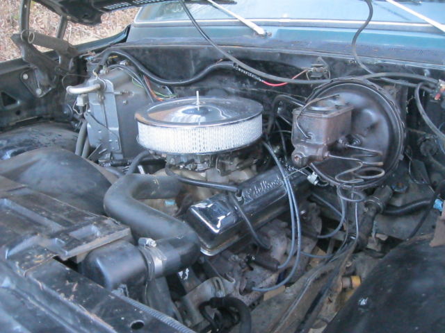 1979 Green Chevrolet C/K Pickup 1500 Standard Cab Pickup