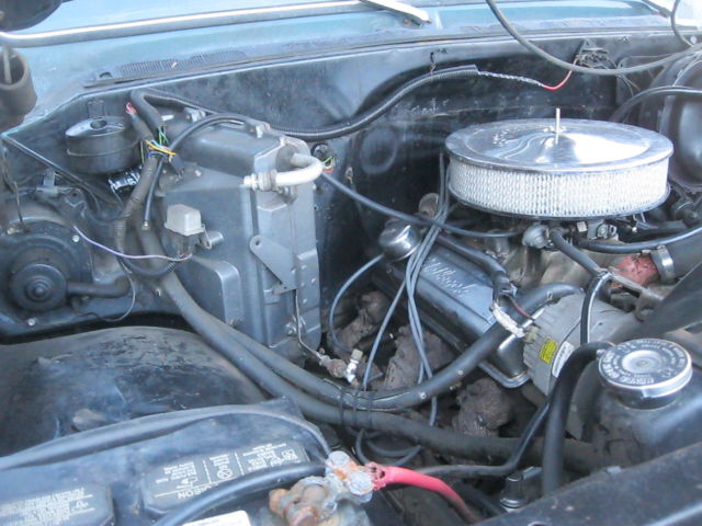 1979 Green Chevrolet C/K Pickup 1500 Standard Cab Pickup