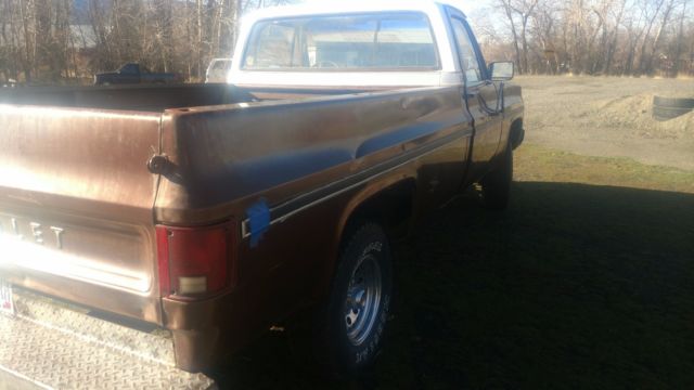 1979 Brown Chevrolet C/K Pickup 1500 Cab & Chassis