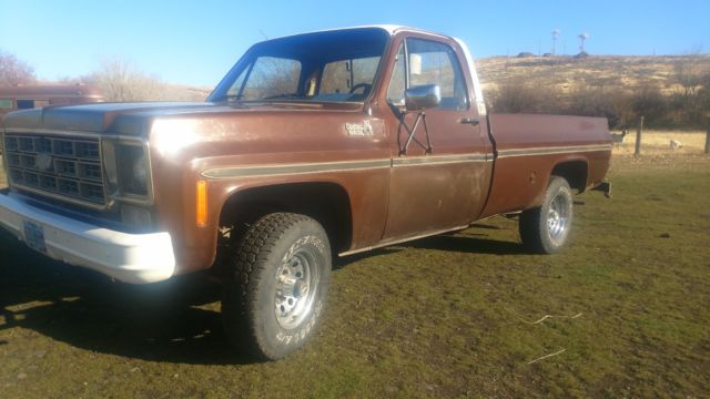 1979 Brown Chevrolet C/K Pickup 1500 Cab & Chassis