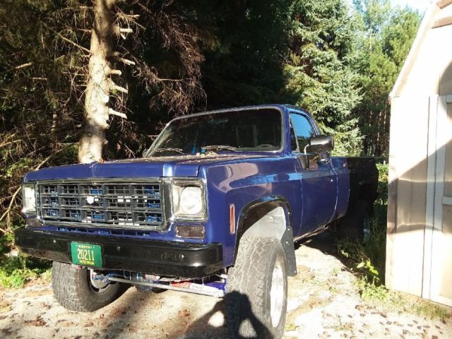 1979 BLUE Chevrolet C/K Pickup 2500 Standard Cab Pickup