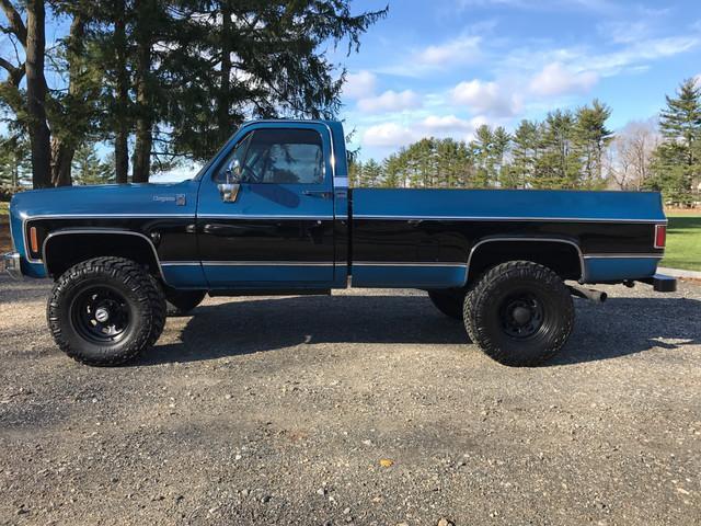 1979 Black Chevrolet Other Pickups --