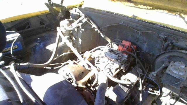 1979 Yellow Chevrolet C/K Pickup 1500 Standard Cab Pickup