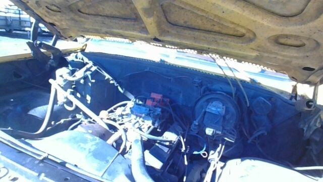 1979 Yellow Chevrolet C/K Pickup 1500 Standard Cab Pickup