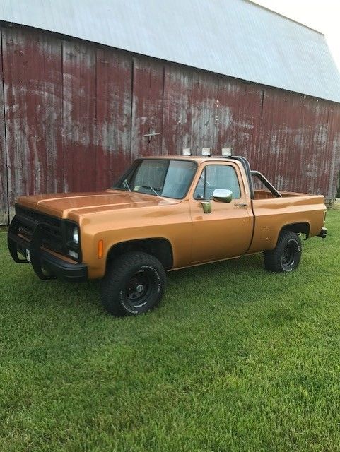 1979 Orange Chevrolet C-10 Standard Cab Pickup
