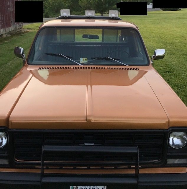 1979 Orange Chevrolet C-10 Standard Cab Pickup