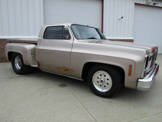 1979 Pewter Chevrolet Silverado 1500 --