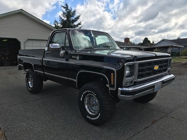 1979 Chevrolet C/K Pickup 1500