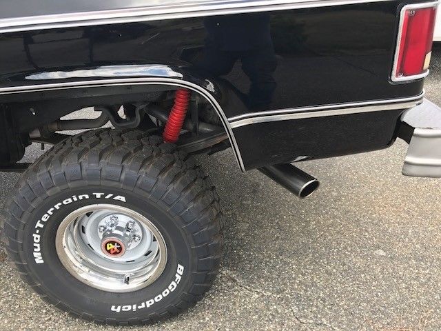 1979 Chevrolet C/K Pickup 1500