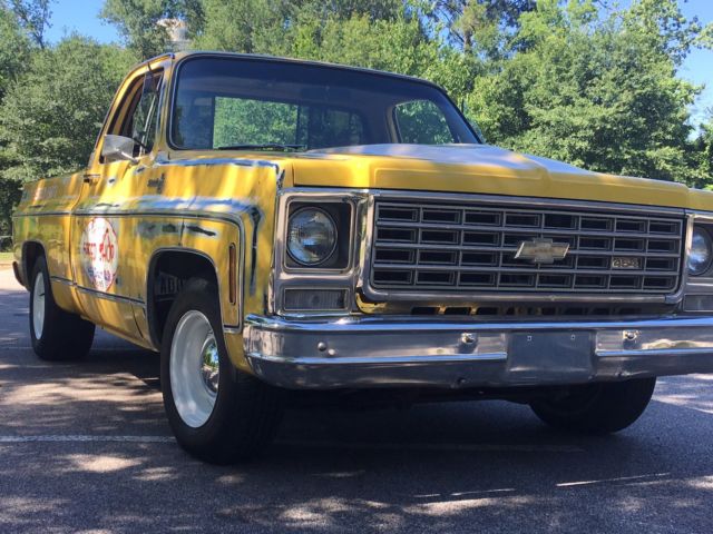 1979 CUSTOM Chevrolet C-10 Standard Cab Pickup