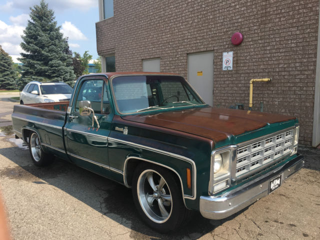 1979 Chevrolet C-10