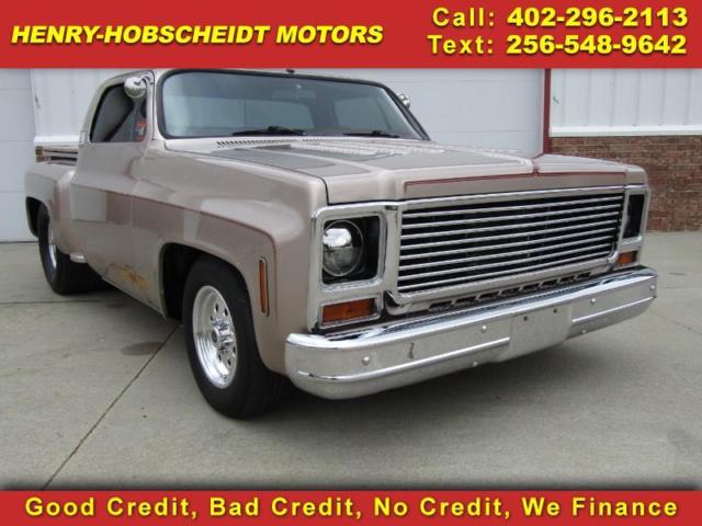 1979 Pewter Chevrolet Silverado 1500 --